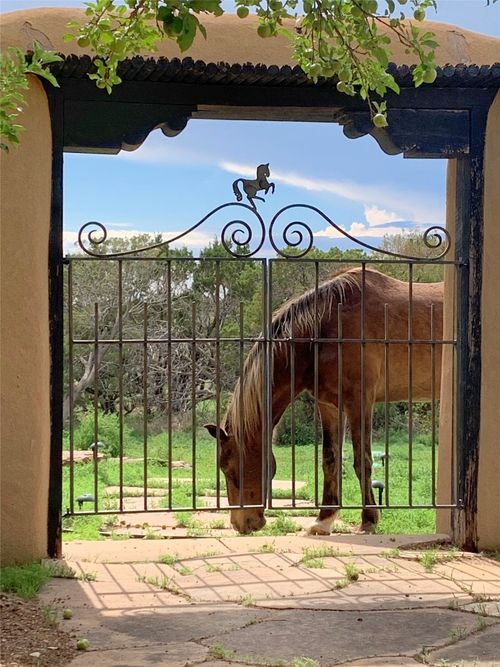 7 Camino Amansador, Santa Fe, NM, 87508-9185 | Card Image