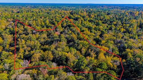 TBD Rolling Ridge Rd, Goodrich, TX, 77335 | Card Image