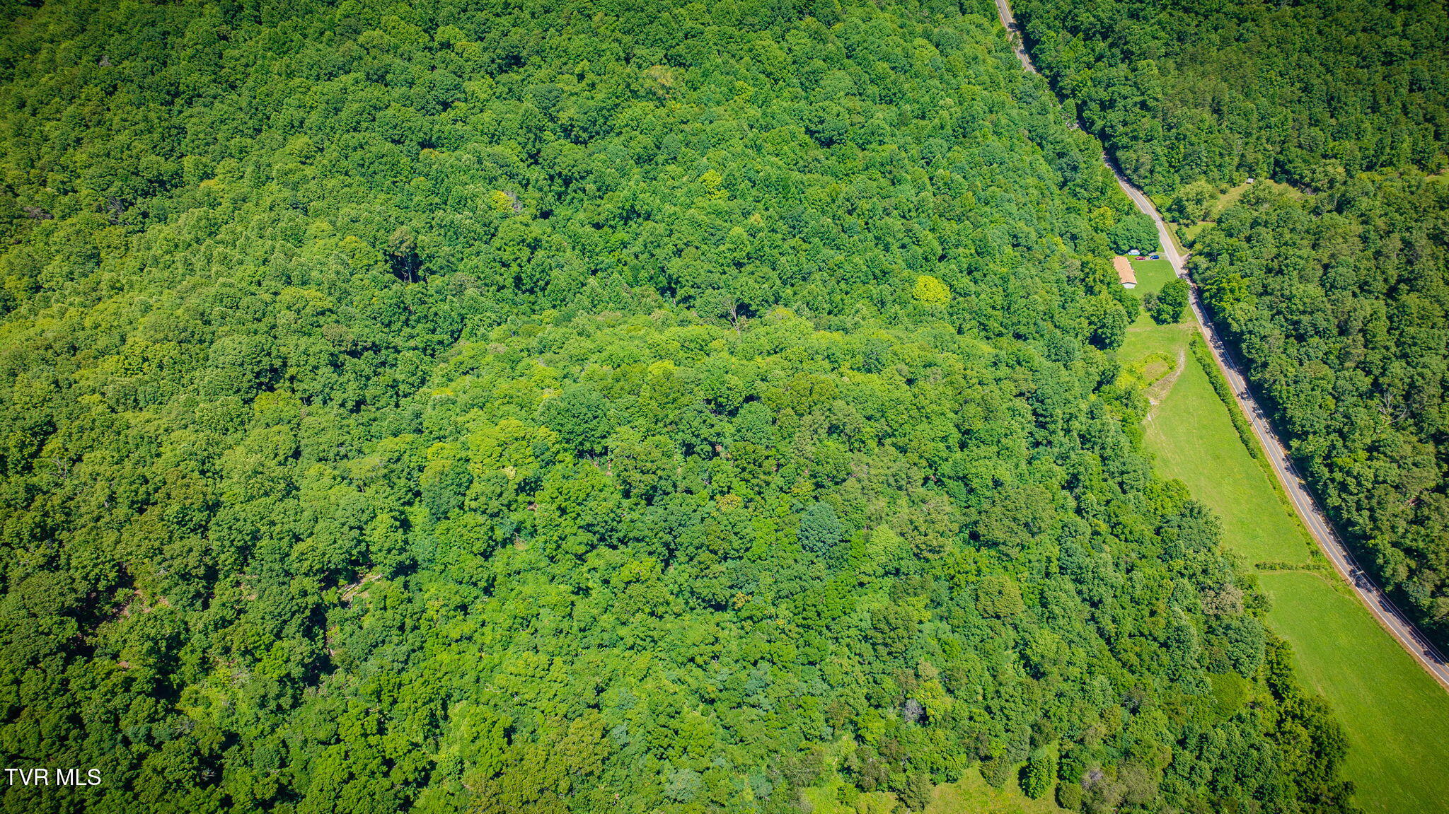Land in Rogersville 3