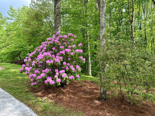 23677 Archery Range Rd, House other with 3 bedrooms, 3 bathrooms and 4 parking in Bristol VA | Image 10