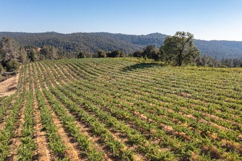 5200 Butte Creek Rd, Somerset, CA, 95684-9425 | Card Image