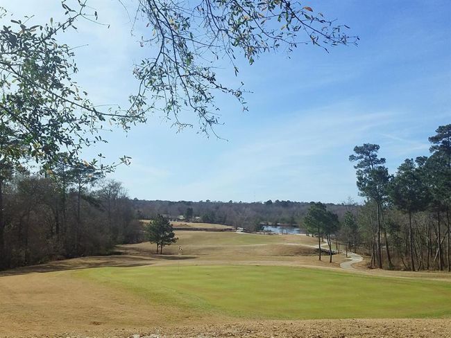 4813 W Fork Blvd, Home with 0 bedrooms, 0 bathrooms and null parking in Conroe TX | Image 7