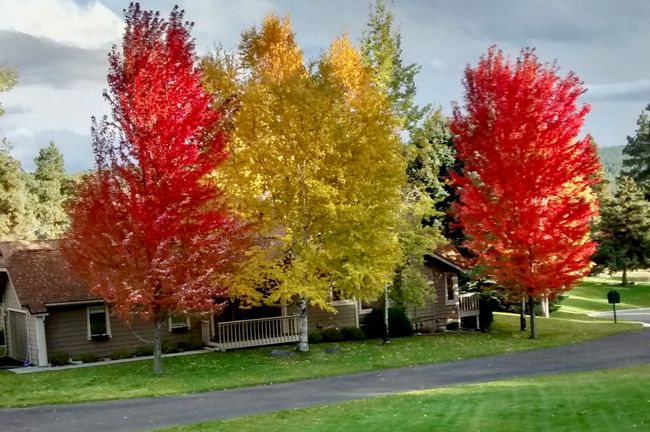 Autumn view | Image 36