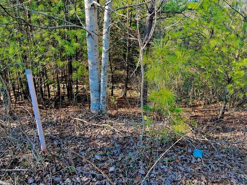 Lot 14 Valley Ct, East Ellijay, GA, 30540-6927 | Card Image