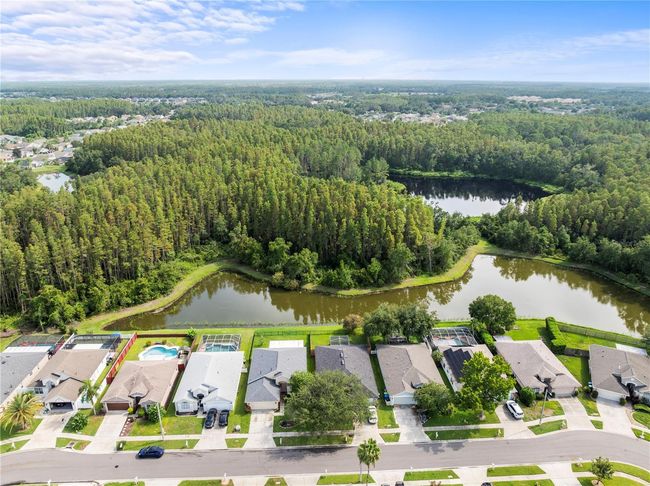 30638 Nickerson Loop, House other with 4 bedrooms, 2 bathrooms and null parking in WESLEY CHAPEL FL | Image 33