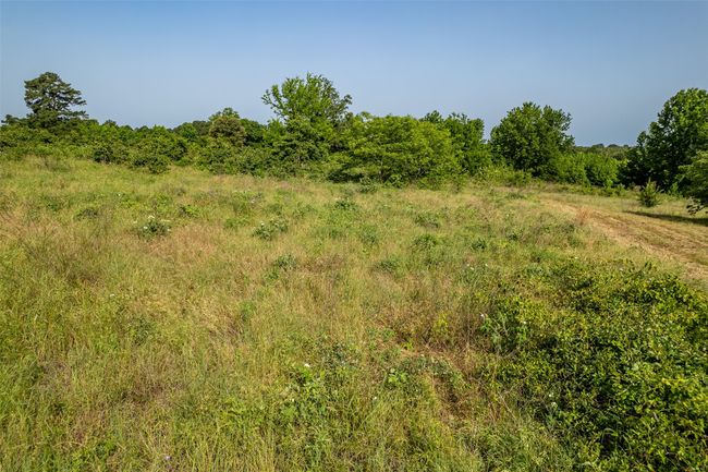 0 Johnson Rd, Home with 0 bedrooms, 0 bathrooms and null parking in Winona TX | Image 36