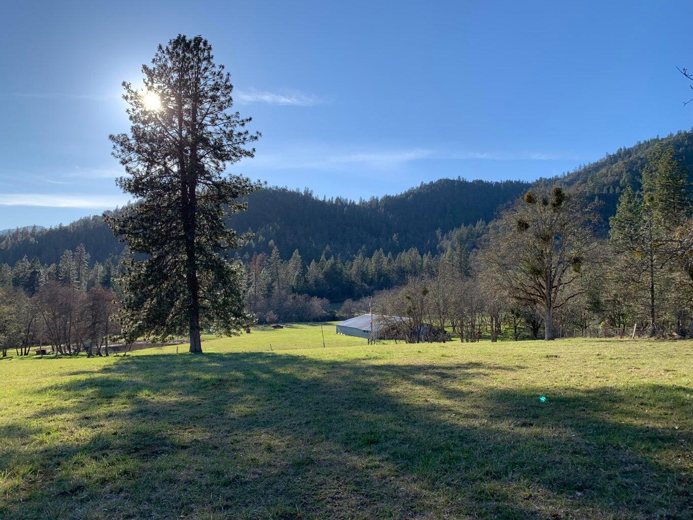 Land in Grants Pass