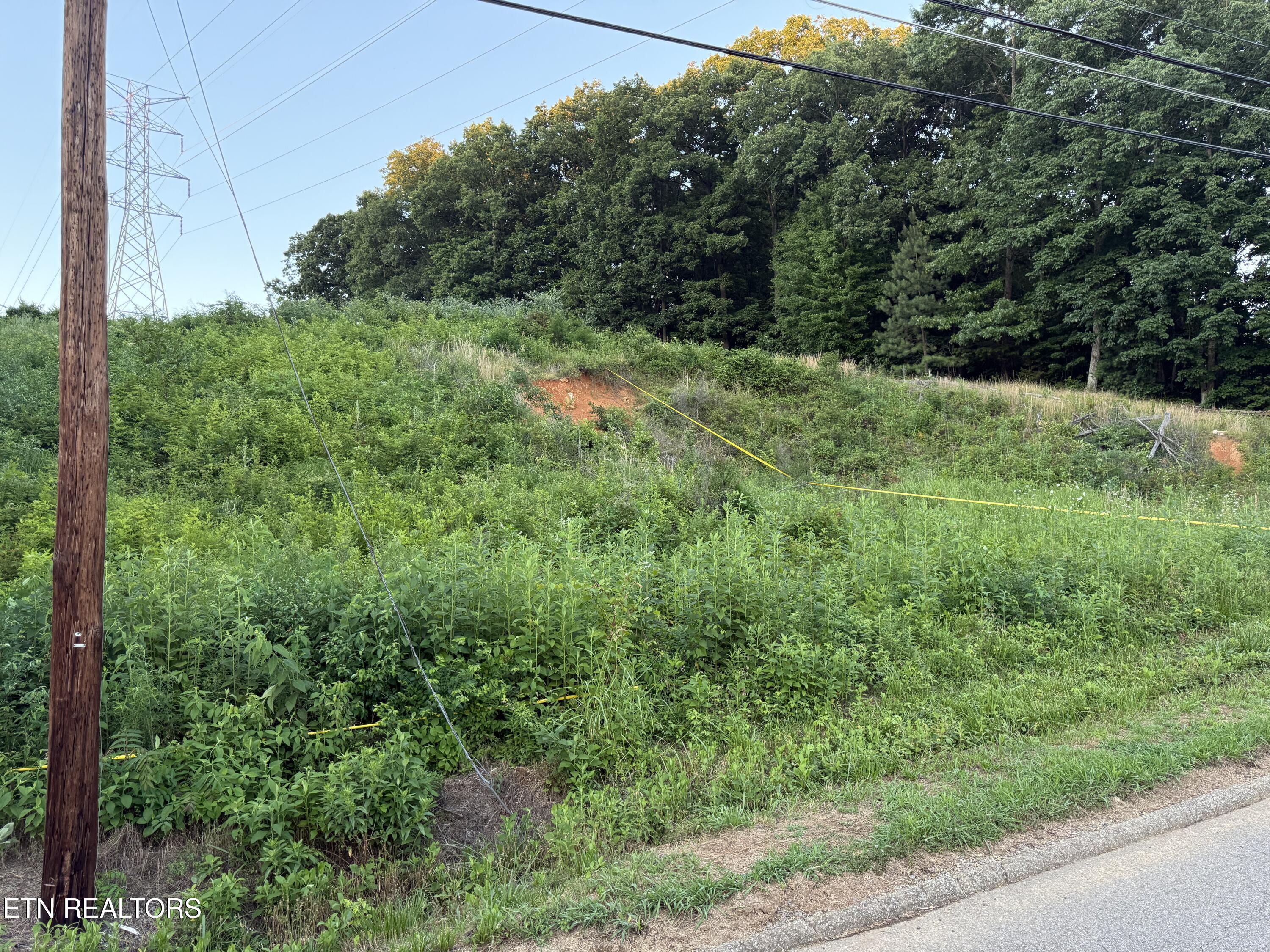 Land in Knoxville 2