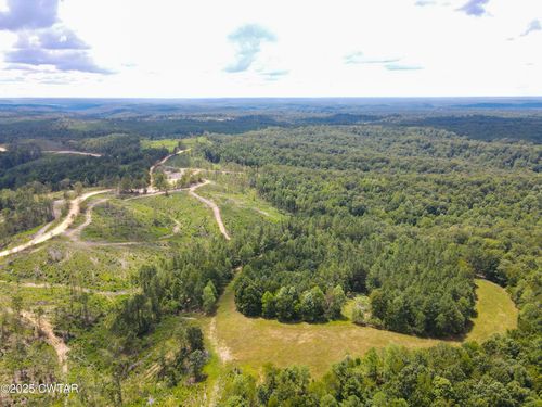 Tract 2 Ray Miller Rd, Sugar Tree, TN, 38380 | Card Image