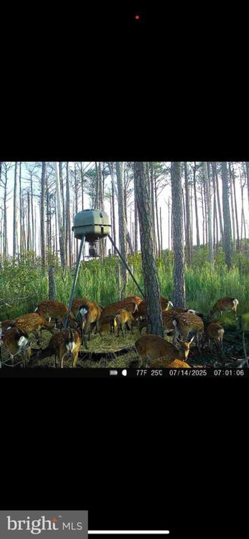 2265 Wingate Bishops Head Rd, WINGATE, MD, 21675-2009 | Card Image