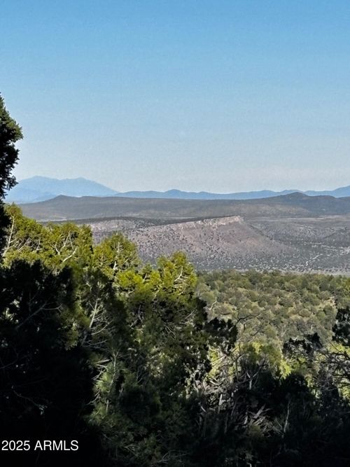 498-0 Soaring Hawk Rd, Seligman, AZ, 86337 | Card Image