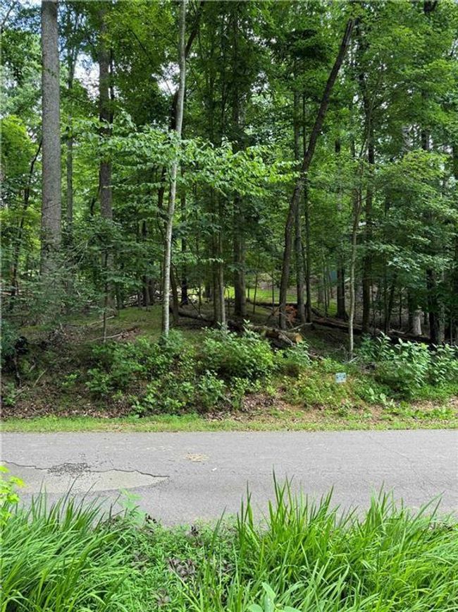 830 N Duffer Dr, Home with 0 bedrooms, 0 bathrooms and null parking in Jasper GA | Image 8