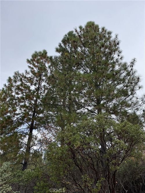 0 Fitzgerald Ct, Forest Ranch, CA, 95942 | Card Image