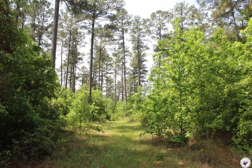 201 Nevada 25, Rosston, AR, 71858 | Card Image