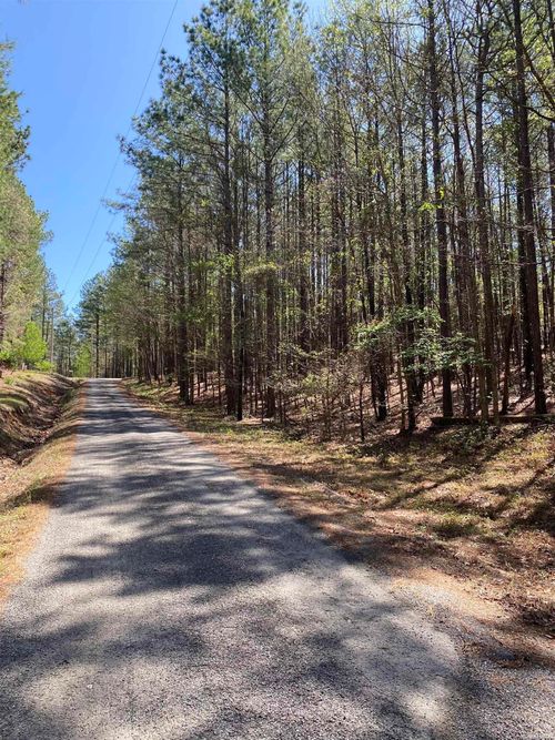 87 Woodland Springs Road, Mount Ida, AR, 71957 | Card Image