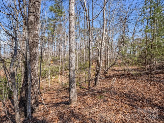 21-24-AND-25 - 000 Forester Ln, Home with 0 bedrooms, 0 bathrooms and null parking in Mill Spring NC | Image 13
