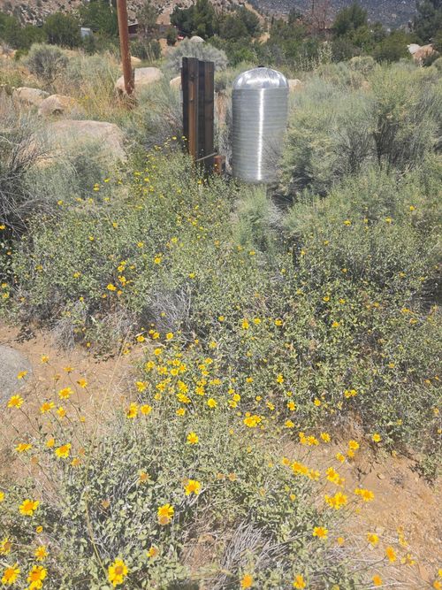 9576 Glacier Gulch Rd, Weldon, CA, 93283 | Card Image
