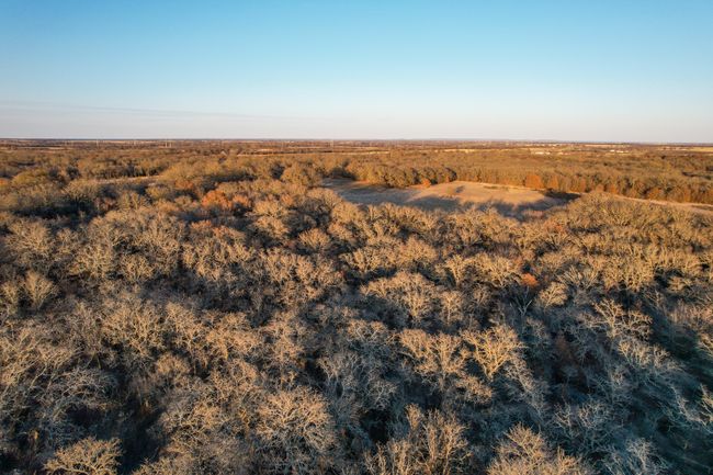 2351 County Road 321, Home with 0 bedrooms, 0 bathrooms and null parking in Gorman TX | Image 16