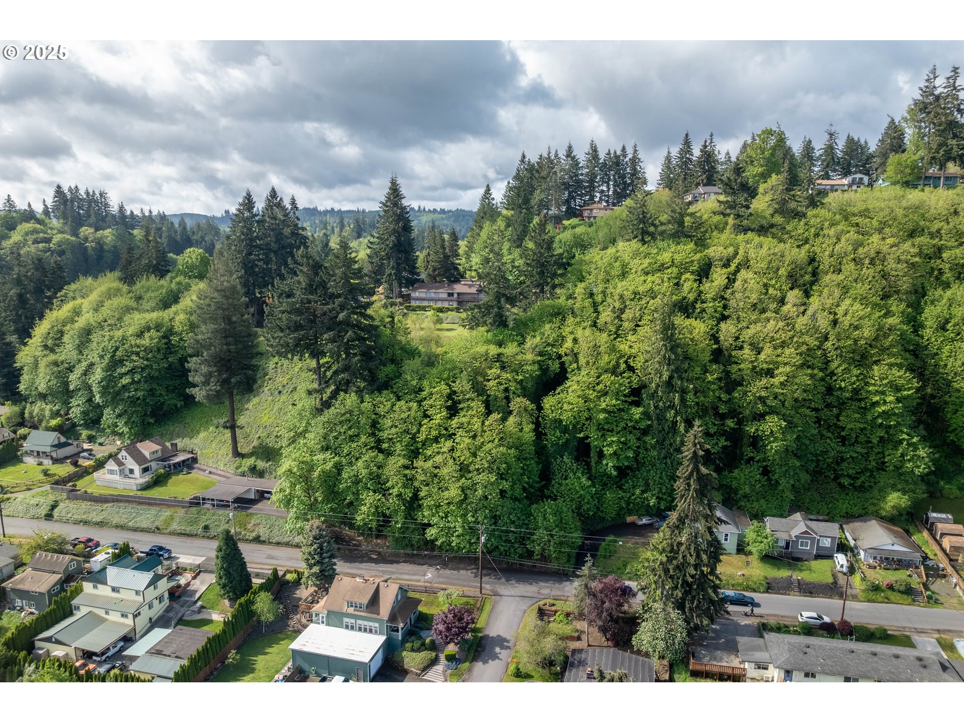Land in Rainier 4