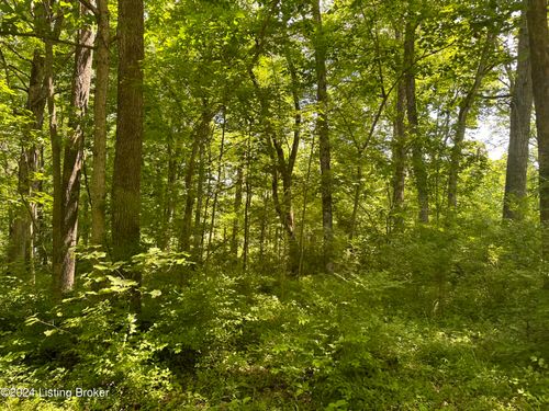 248 Maple Ct, New Haven, KY, 40051 | Card Image