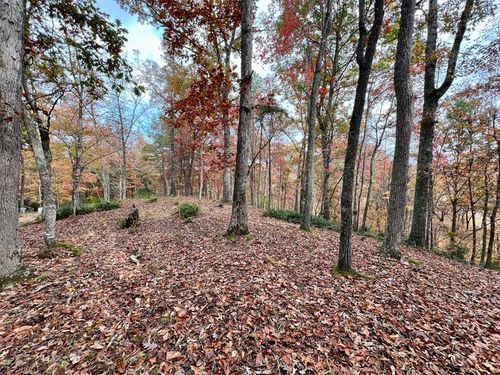 Lot 16 Cricket Ln, Warne, NC, 28909 | Card Image