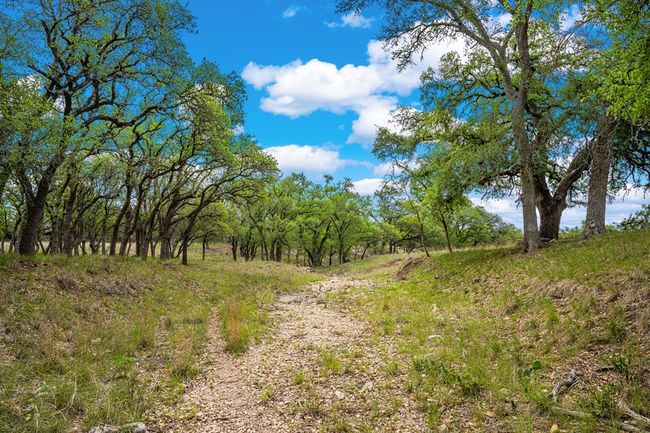 1379 Barker Rogers Rd, Home with 0 bedrooms, 0 bathrooms and null parking in Harper TX | Image 28