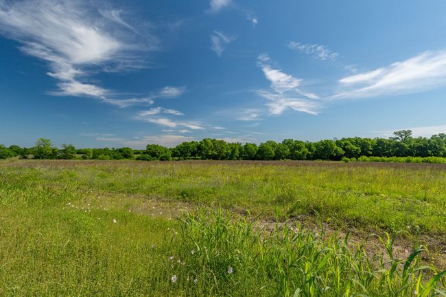 ES - 1625 Fm 904 S, Home with 0 bedrooms, 0 bathrooms and null parking in Pecan Gap TX | Image 12