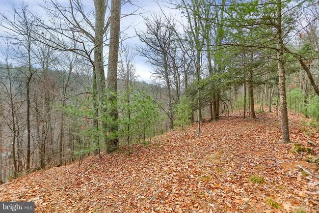 1245 Thompson Hollow Ln, House other with 3 bedrooms, 2 bathrooms and null parking in HONEY GROVE PA | Image 65