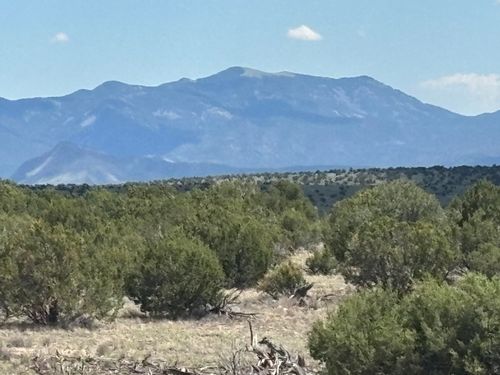 24 Pinon Springs Rd, Magdalena, NM, 87825 | Card Image