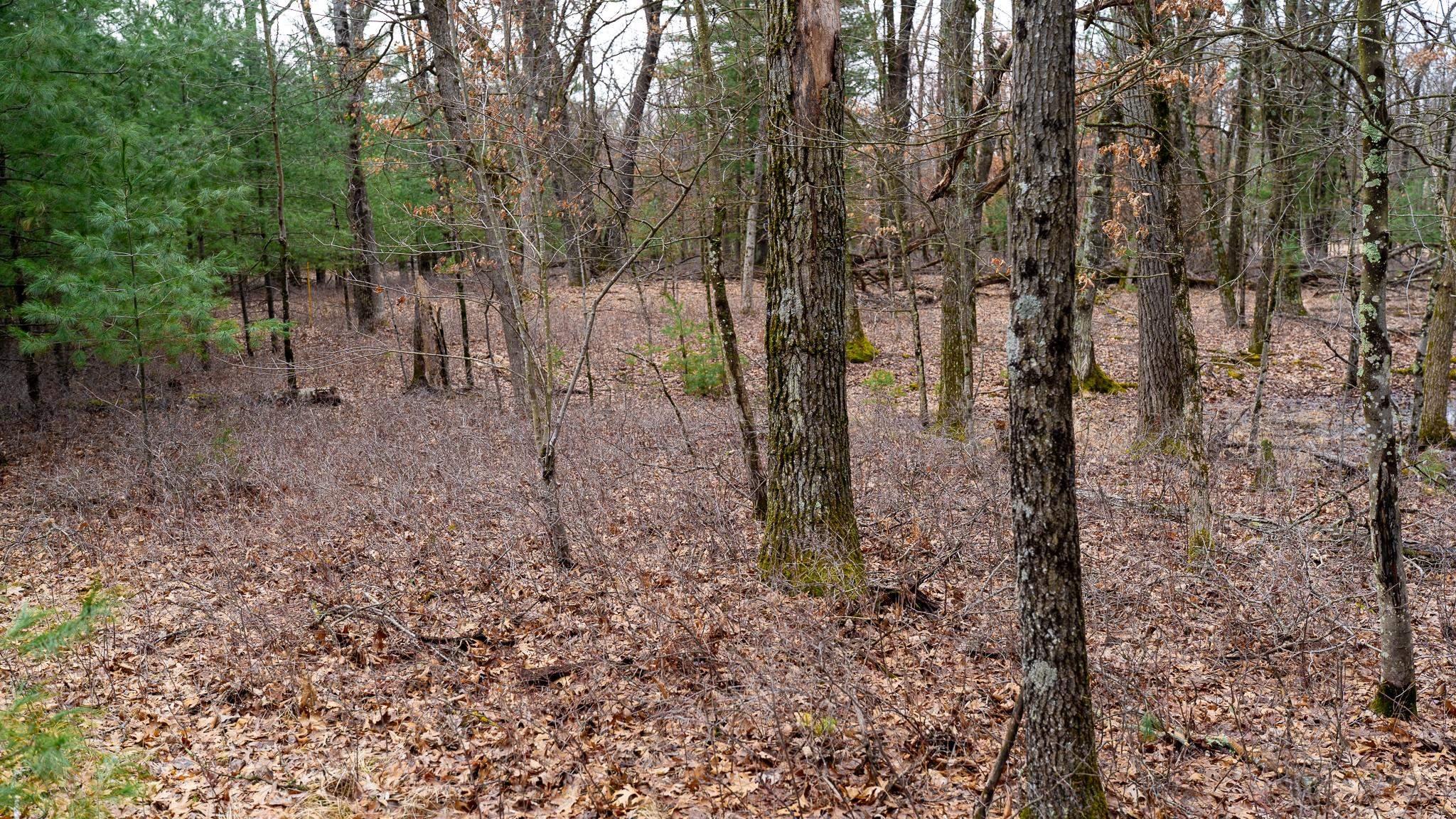 Land in Adams 5