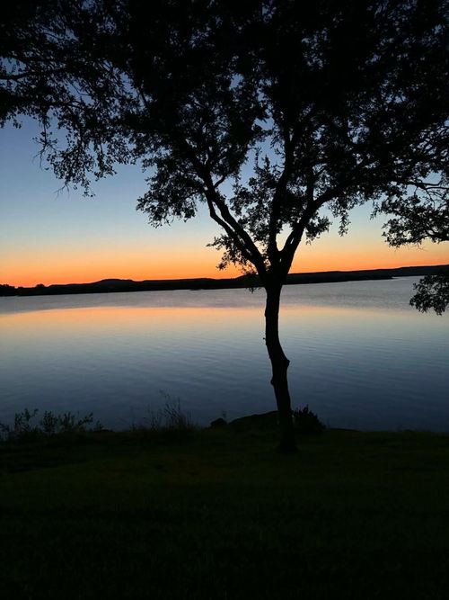 a8-1655 Cedar Crest Loop, Graford, TX, 76449-3246 | Card Image
