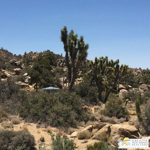 1430 Orion, Pioneertown, CA, 92268 | Card Image