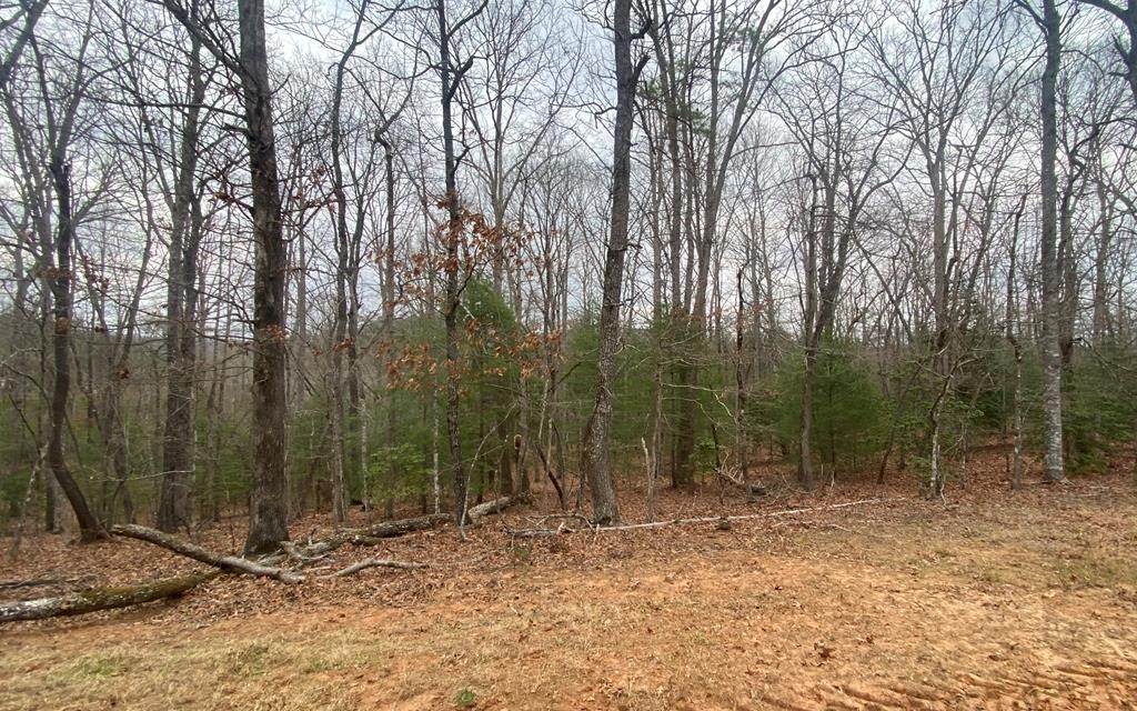 Land in Blairsville