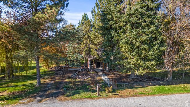 View of grassy yard | Image 49