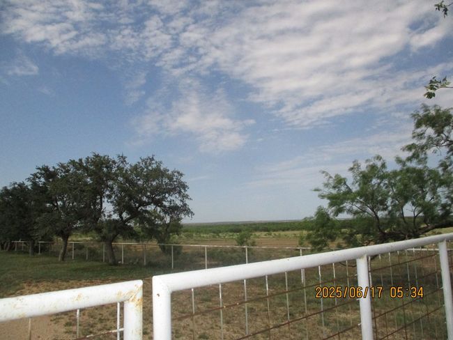 420 Juniper Rd, House other with 3 bedrooms, 2 bathrooms and 3 parking in Bronte TX | Image 6