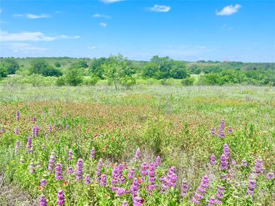 Lot69 Greenwood Road, Home with 0 bedrooms, 0 bathrooms and null parking in Comanche TX | Image 3