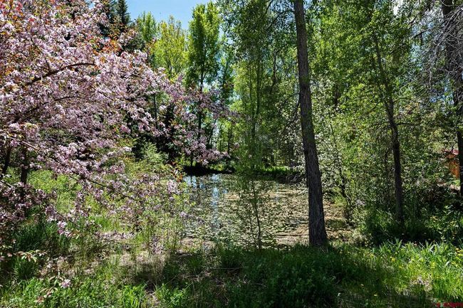 21055 Highway 140, House other with 5 bedrooms, 6 bathrooms and null parking in Hesperus CO | Image 21