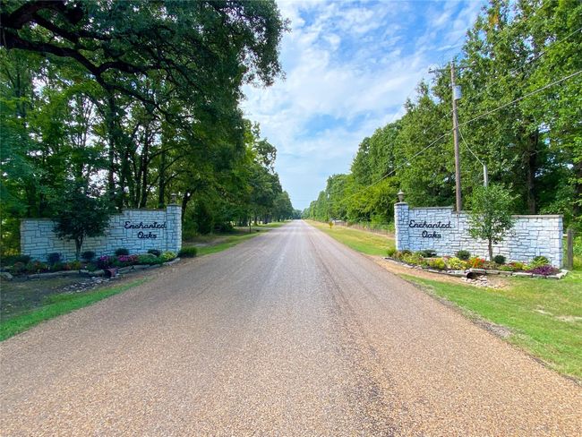 Welcome to the City of Enchanted Oaks! | Image 24