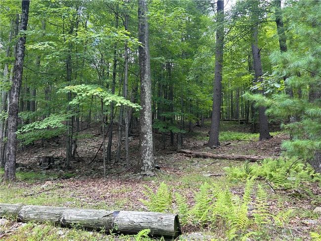 42 Mcguffey Rd, House other with 2 bedrooms, 1 bathrooms and 2 parking in Kerhonkson NY | Image 23