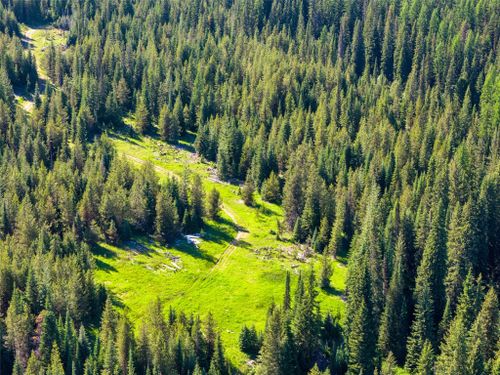 unk Packer Creek Rd, Haugan, MT, 59842 | Card Image