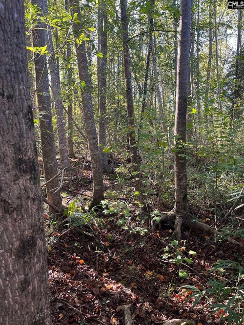 PPF 18 Payne Pond Road, Westville, SC, 29175 | Card Image