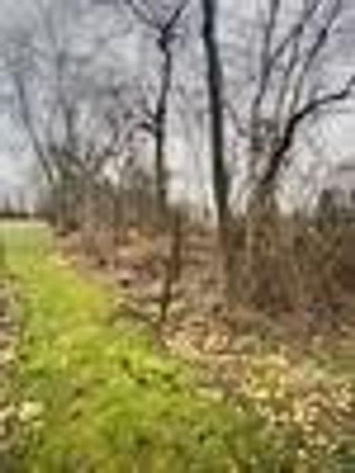 42 Fern St, Adamsburg, PA, 15611 | Card Image