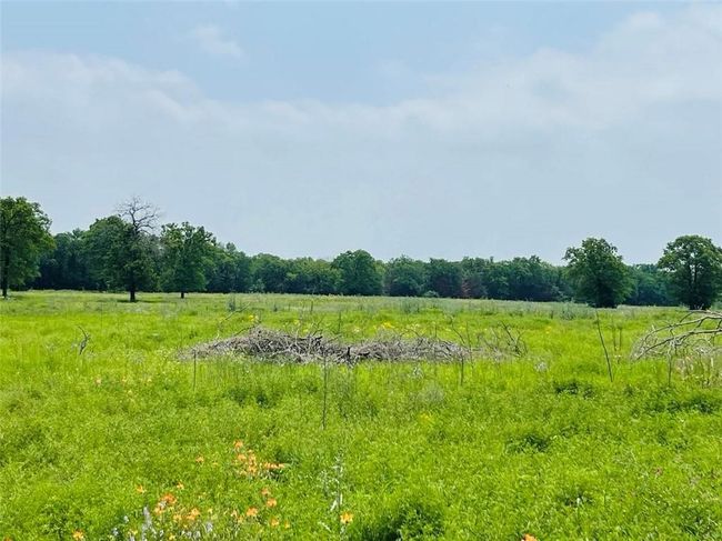 222 Hcr 2205, Home with 0 bedrooms, 0 bathrooms and null parking in Aquilla TX | Image 4