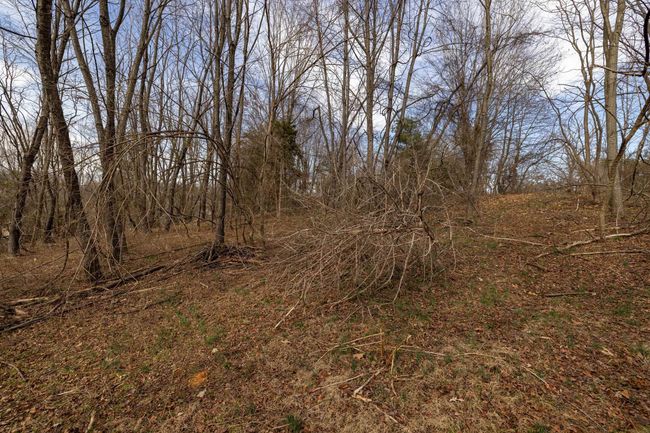 0 Shen Lake Rd, Home with 0 bedrooms, 0 bathrooms and null parking in HARRISONBURG VA | Image 39
