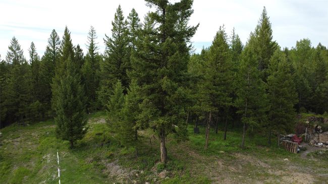 aerial view from above the cabin | Image 71