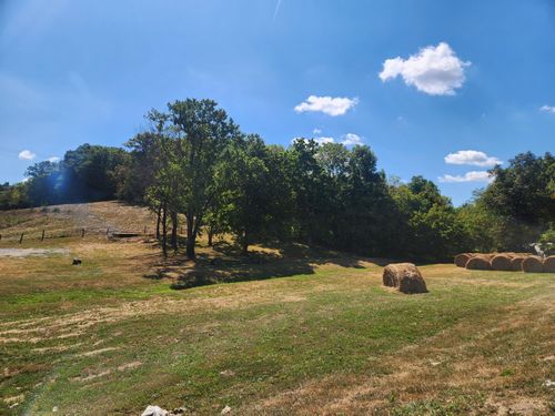 5152 Oddville Sunrise Rd, Cynthiana, KY, 41031-6440 | Card Image