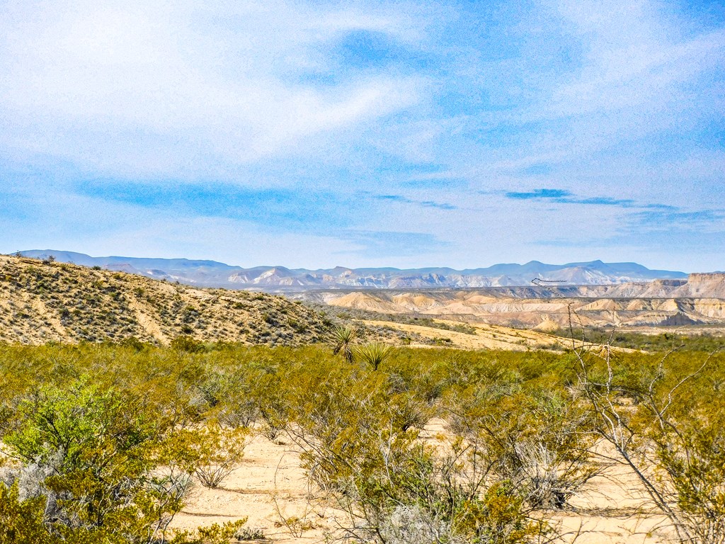 Land in Terlingua 2
