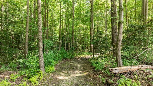 34AC Windsor Rd, Home with 0 bedrooms, 0 bathrooms and null parking in Dutton VA | Image 10