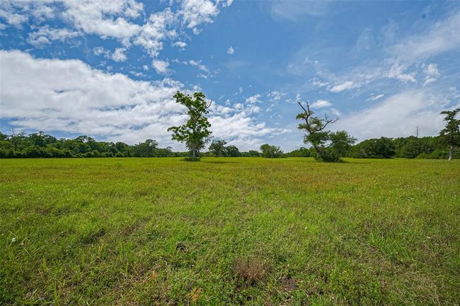 2015 Summers Rd, Home with 0 bedrooms, 0 bathrooms and null parking in Damon TX | Image 15