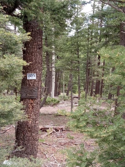 8 Back Basin Rd, Angel Fire, NM, 87710-8015 | Card Image